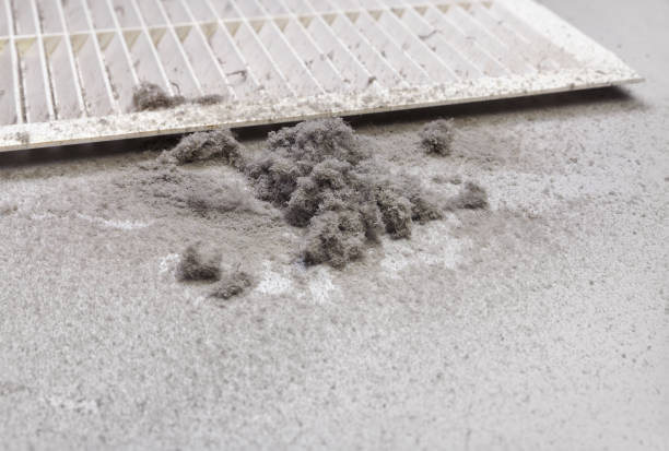 Best Ventilation Cleaning Services  in Albion, PA