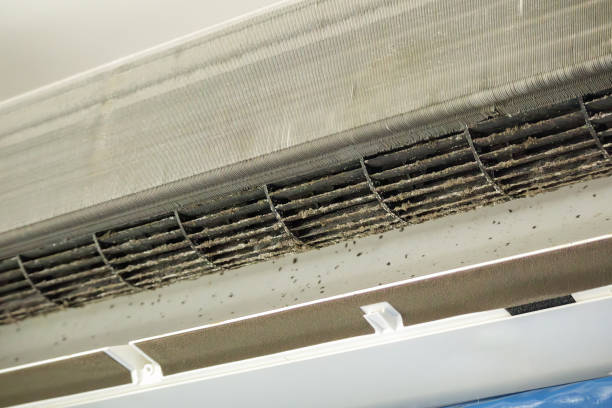 Best HVAC Maintenance and Cleaning  in Albion, PA