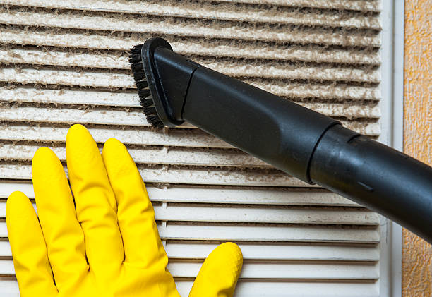 Best Air Duct Mold Removal  in Albion, PA
